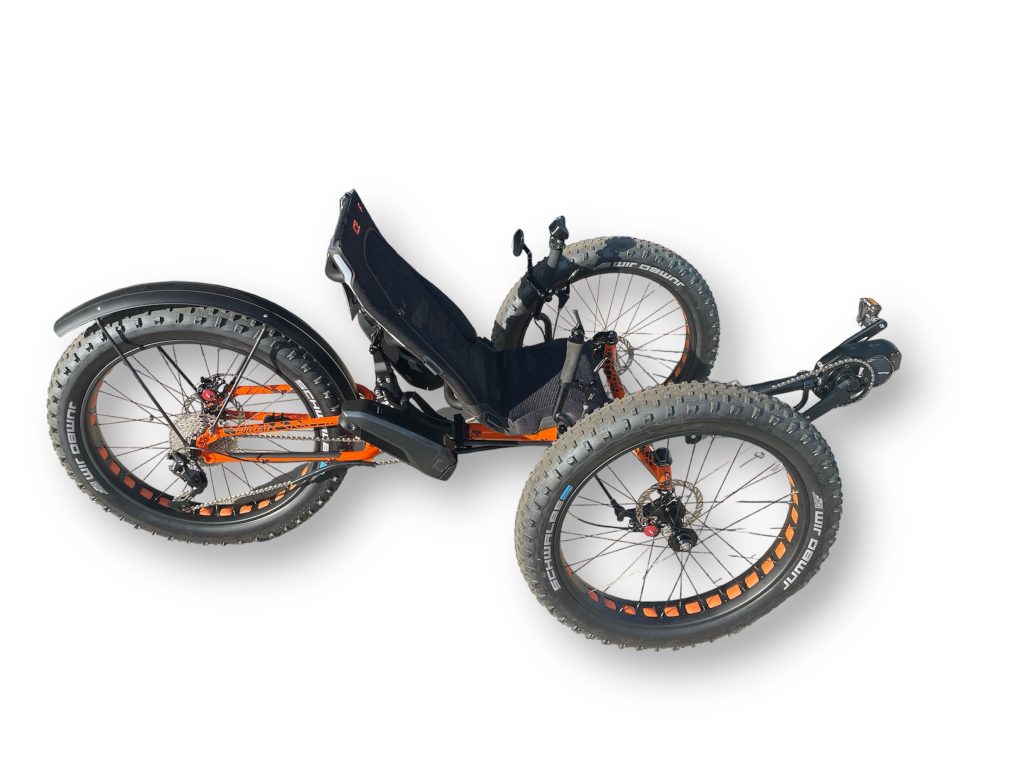 ICE Electric Full Fat 26 RS with 2 batteries - STEPS EP8 Electric Assist